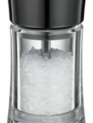 Zassenhaus Salzmühle Aachen Acryl, Schwarz 14 Cm