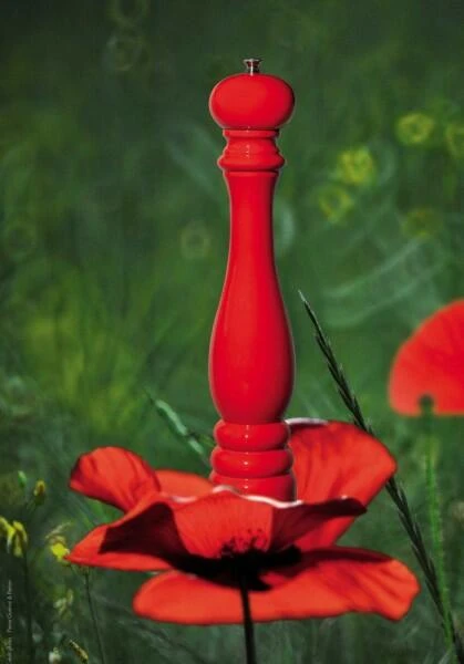 PEUGEOT Salzmühle Paris In Mohn 18 Cm - Image 4